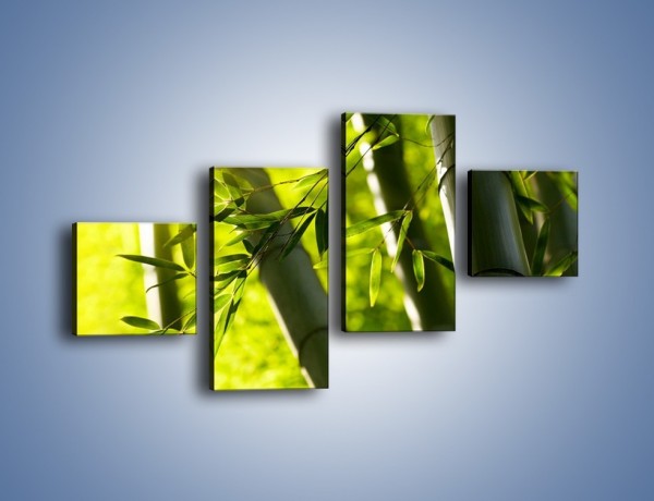 Obraz na płótnie – Twarde łodygi bambusa – czteroczęściowy KN1314AW3