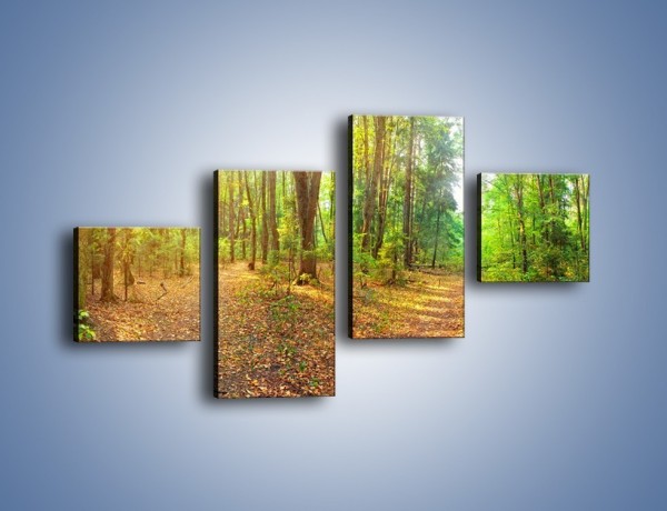 Obraz na płótnie – Przejrzysty piękny las – czteroczęściowy KN1344AW3