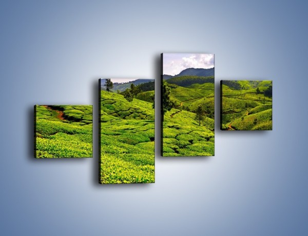 Obraz na płótnie – Góry całe w zieleni – czteroczęściowy KN246W3
