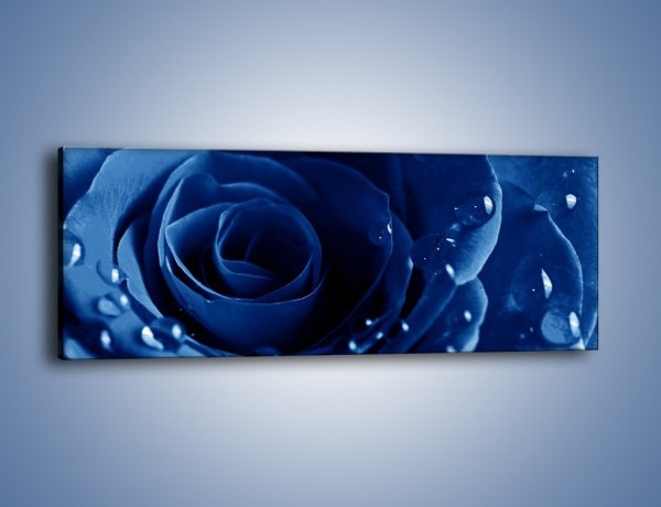 Obraz na płótnie – Noc odbita w płatkach róż – jednoczęściowy panoramiczny K176