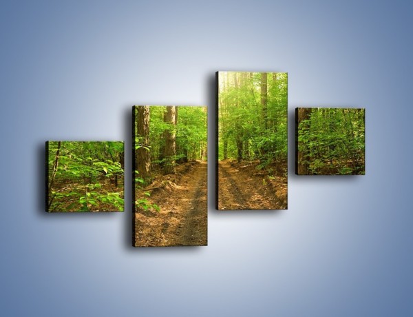 Obraz na płótnie – Leśną drogą jak z filmu – czteroczęściowy KN324W3