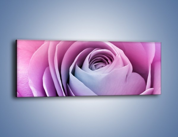 Obraz na płótnie – Pączek róży o poranku – jednoczęściowy panoramiczny K178
