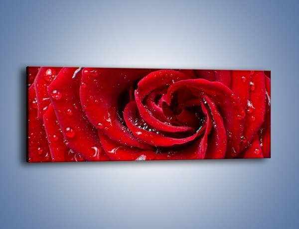 Obraz na płótnie – Kwiat pełen miłości – jednoczęściowy panoramiczny K179