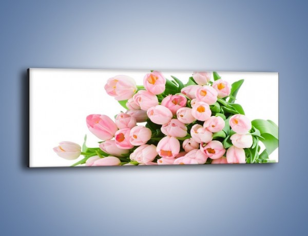 Obraz na płótnie – Wiosna w tulipanach – jednoczęściowy panoramiczny K182