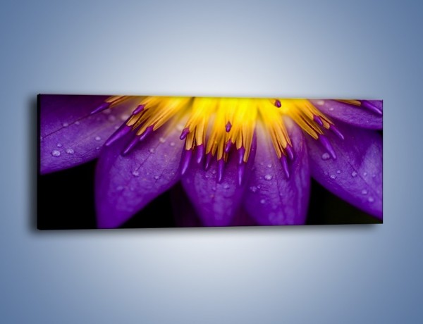 Obraz na płótnie – Baśniowy kwiat z tajemnicą – jednoczęściowy panoramiczny K189