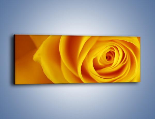 Obraz na płótnie – Kwiaty w kolorze zimy – jednoczęściowy panoramiczny K191