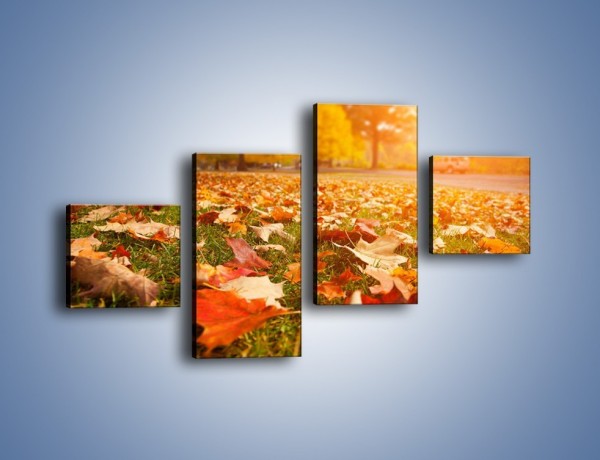 Obraz na płótnie – Jesień na trawie – czteroczęściowy KN966W3