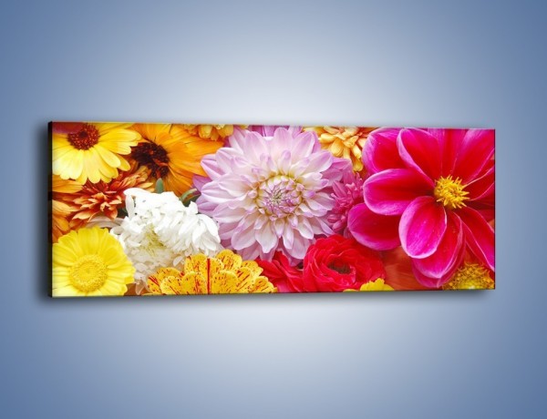 Obraz na płótnie – Letnie kwiaty z działki – jednoczęściowy panoramiczny K198