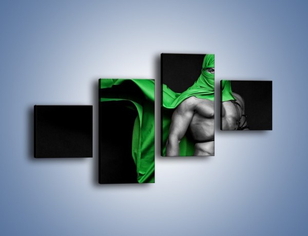 Obraz na płótnie – Zielony ninja – czteroczęściowy L245W3