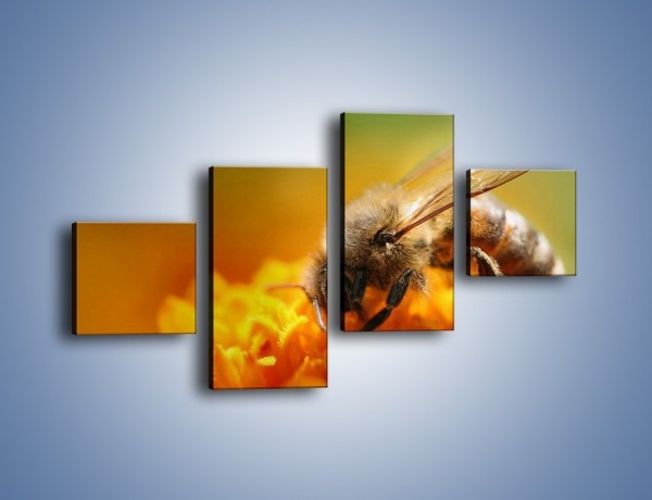 Obraz na płótnie – Pszczoła zbierająca nektar – czteroczęściowy Z002W3