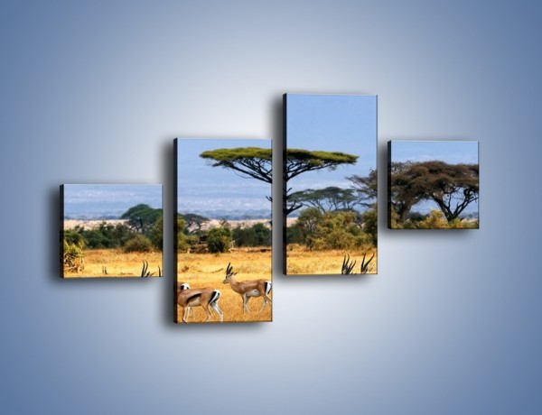 Obraz na płótnie – Antylopy w słonecznej afryce – czteroczęściowy Z003W3