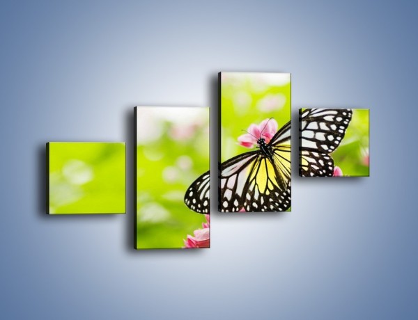 Obraz na płótnie – Motyl w letni poranek – czteroczęściowy Z004W3