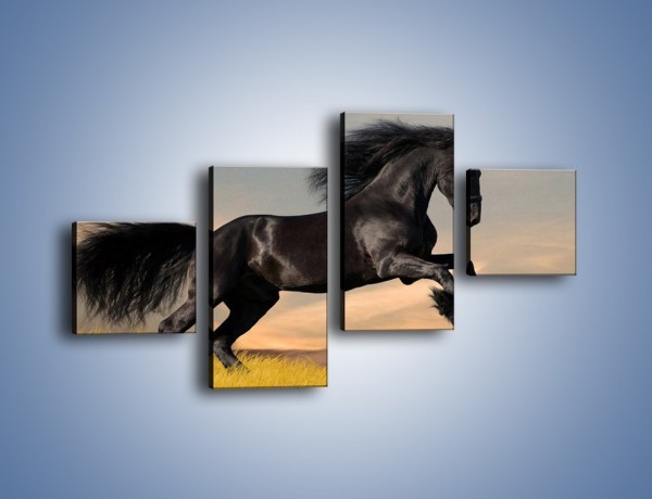 Obraz na płótnie – Czarny koń w galopie – czteroczęściowy Z008W3