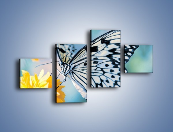 Obraz na płótnie – Motyw zebry w motylu – czteroczęściowy Z010W3