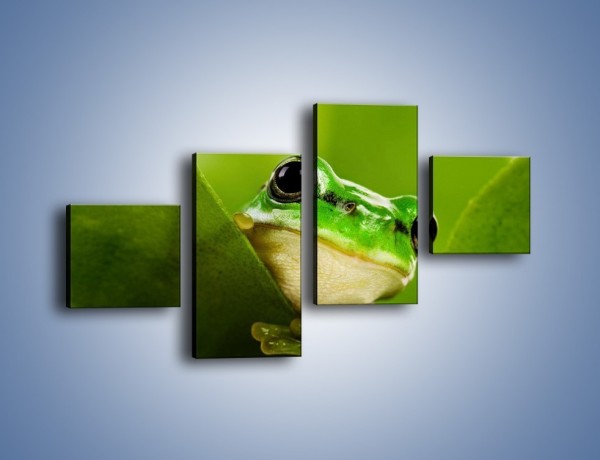 Obraz na płótnie – Zielony świat żabki – czteroczęściowy Z014W3