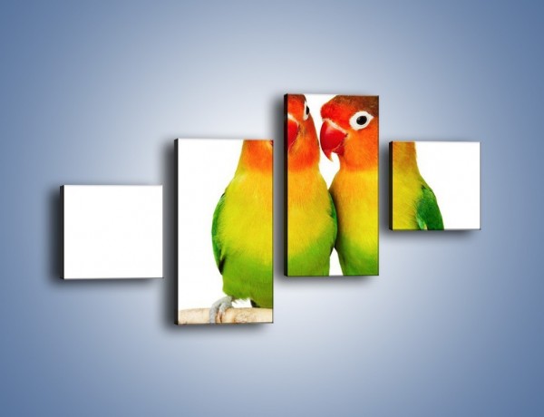 Obraz na płótnie – Sekrety uśmiechniętych papug – czteroczęściowy Z017W3