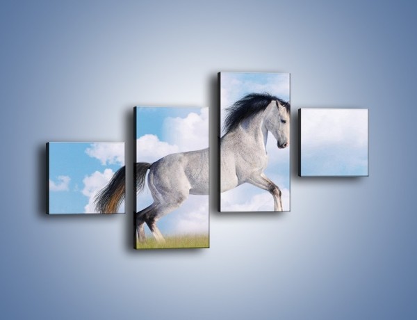 Obraz na płótnie – Białe obłoki i koń – czteroczęściowy Z019W3