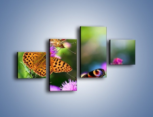 Obraz na płótnie – Świat kolorowych motyli – czteroczęściowy Z053W3