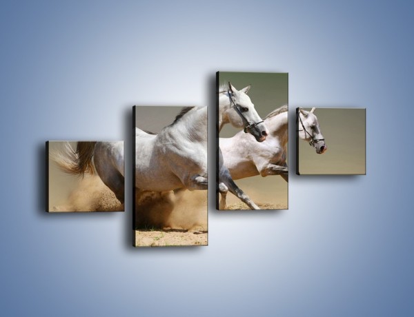 Obraz na płótnie – Białe konie w pustynnym galopie – czteroczęściowy Z055W3