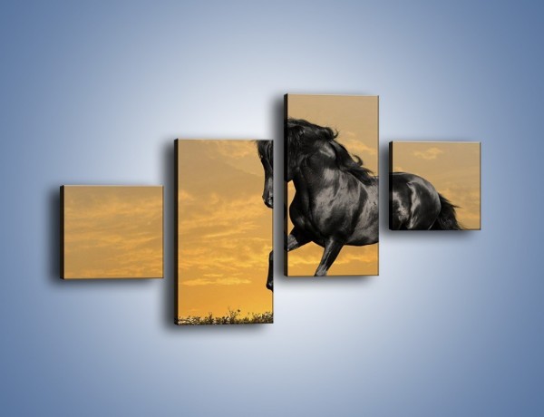 Obraz na płótnie – Bieg z koniem po polanie – czteroczęściowy Z057W3