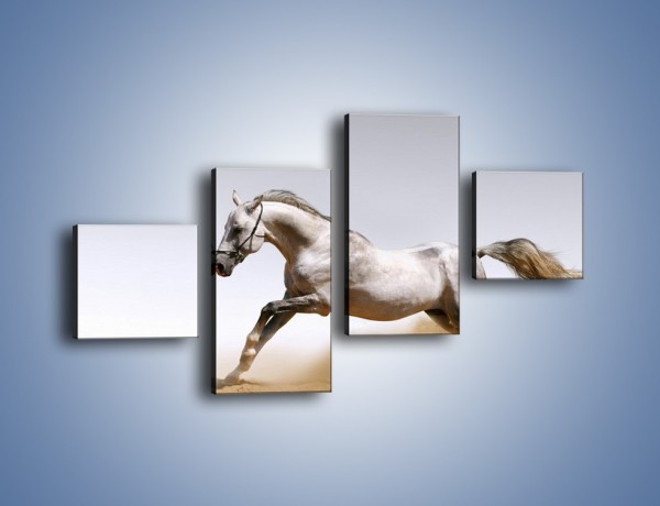 Obraz na płótnie – Srebrny koń w galopie – czteroczęściowy Z062W3