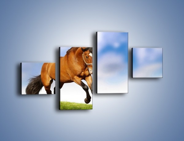 Obraz na płótnie – Przejażdżka na brązowym koniu – czteroczęściowy Z064W3
