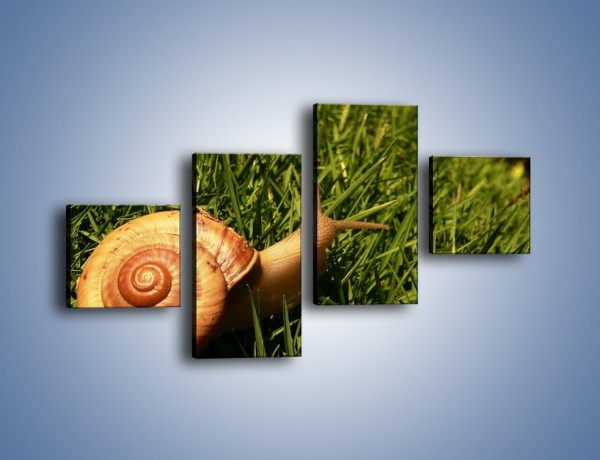 Obraz na płótnie – Z ślimakiem przez łąkę – czteroczęściowy Z103W3