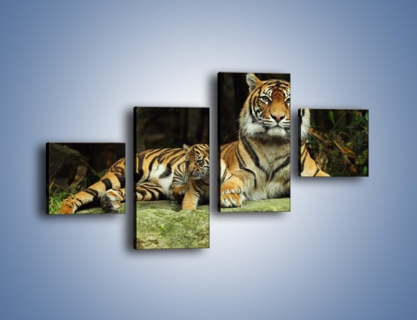 Obraz na płótnie – Tygrysia mamusia z maleństwem – czteroczęściowy Z138W3