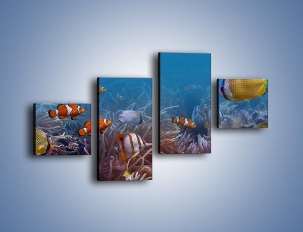Obraz na płótnie – Ocean i jego kolorowi towarzysze – czteroczęściowy Z168W3