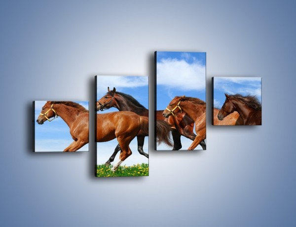 Obraz na płótnie – Galopujące stado brązowych koni – czteroczęściowy Z172W3