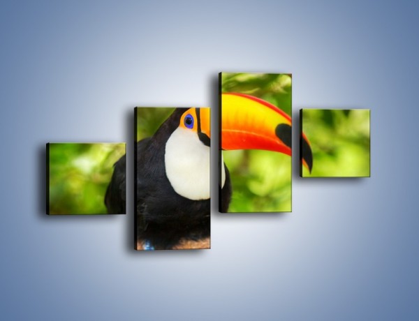 Obraz na płótnie – Kolorowy dziób tukana – czteroczęściowy Z195W3