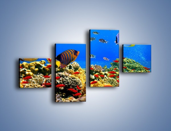 Obraz na płótnie – Kolory tęczy pod wodą – czteroczęściowy Z220W3