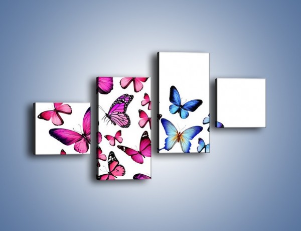 Obraz na płótnie – Rodzina kolorowych motyli – czteroczęściowy Z235W3