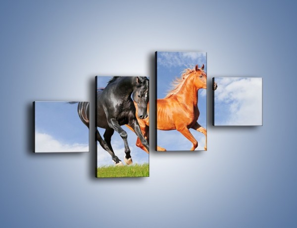 Obraz na płótnie – Czarny rudy i koń – czteroczęściowy Z241W3