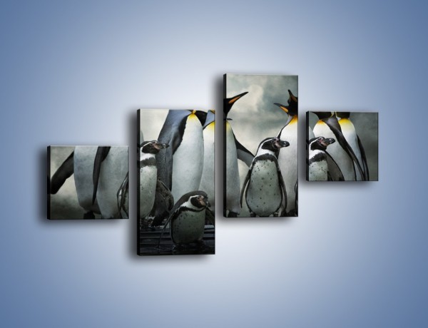 Obraz na płótnie – Pingwinki z madagaskaru – czteroczęściowy Z247W3