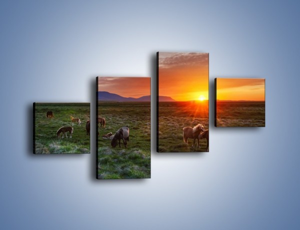 Obraz na płótnie – Konne stado o zachodzie słońca – czteroczęściowy Z249W3