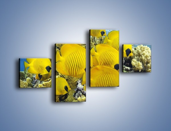 Obraz na płótnie – Słoneczne ryby w oceanie – czteroczęściowy Z252W3