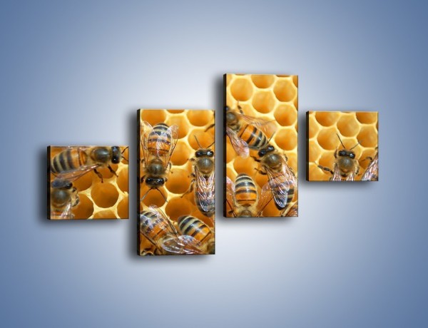 Obraz na płótnie – Pszczoły na plastrze miodu – czteroczęściowy Z265W3