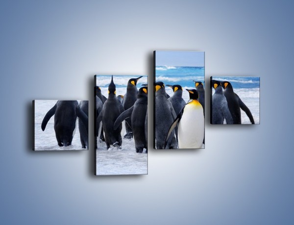 Obraz na płótnie – Narada pingwiniej rodziny – czteroczęściowy Z272W3