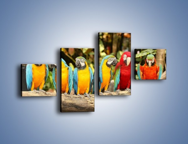 Obraz na płótnie – Sześć papug czeka na siódmego – czteroczęściowy Z279W3