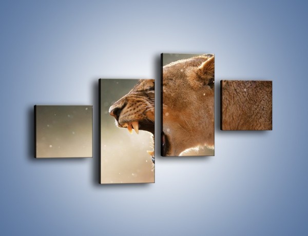 Obraz na płótnie – Ostrzeżenie lwiej samicy – czteroczęściowy Z299W3