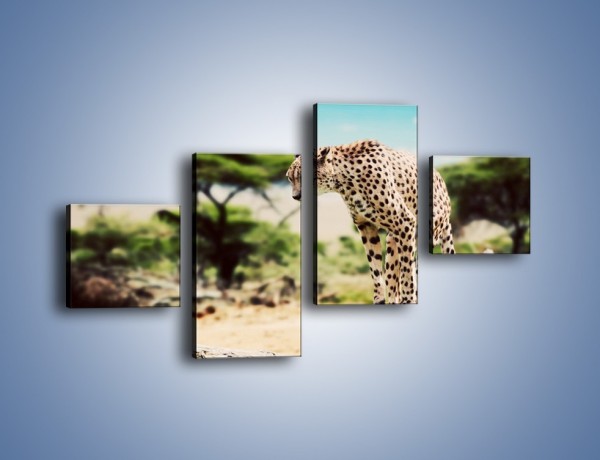 Obraz na płótnie – Cała zwinność geparda – czteroczęściowy Z315W3
