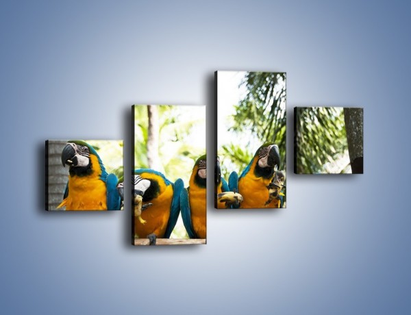 Obraz na płótnie – Piknik z papugami – czteroczęściowy Z322W3