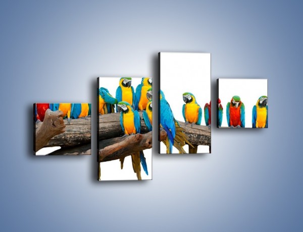 Obraz na płótnie – Kolorowe stado papug – czteroczęściowy Z326W3