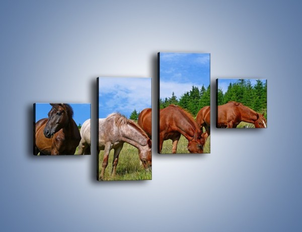 Obraz na płótnie – Spokój las i konie – czteroczęściowy Z330W3