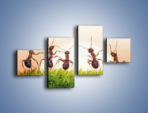 Obraz na płótnie – Taniec mrówek na trawie – czteroczęściowy Z338W3