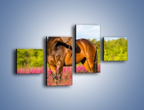 Obraz na płótnie – Koń w lawendowym polu – czteroczęściowy Z340W3