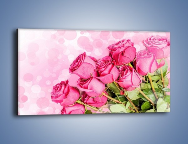 Obraz na płótnie – Słodkie bąbelkowe róże – jednoczęściowy panoramiczny K261