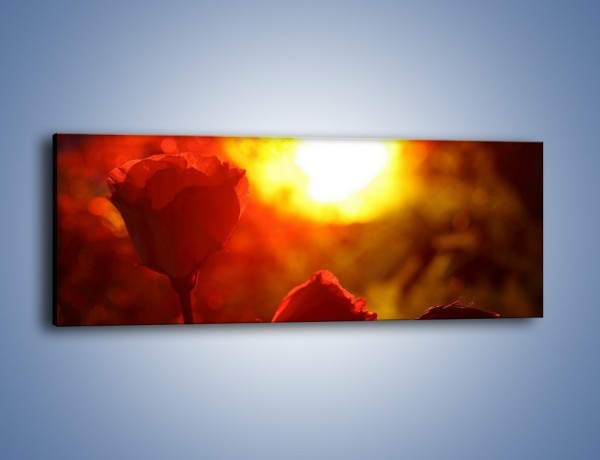 Obraz na płótnie – Słońce czy róża – jednoczęściowy panoramiczny K264