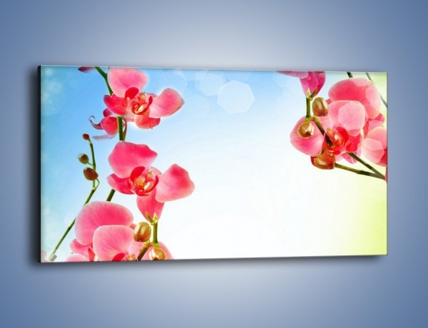 Obraz na płótnie – Akcent kwiatowy – jednoczęściowy panoramiczny K268